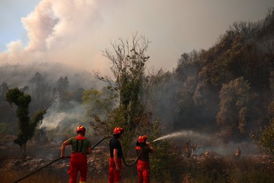 У Південній Європі спалахують лісові пожежі через спеку У Південній Європі спалахують лісові пожежі через спеку