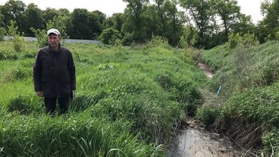 Відходи, переробка м’яса, забій тварин, екологія, м’ясопереробне підприємство Відходи, переробка м’яса, забій тварин, екологія, м’ясопереробне підприємство
