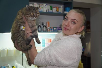 "Температура була низька". Після атаки у Дніпрі ветеринари пошкодженої клініки рятували котів, яких дістали з-під завалів "Температура була низька". Після атаки у Дніпрі ветеринари пошкодженої клініки рятували котів, яких дістали з-під завалів
