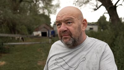 "Нікому ці корови не були потрібні": на Чернігівщині на території центру соцадаптації виявили рештки худоби