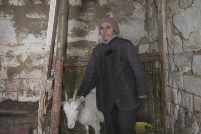 Юлія Мериуца, коза, стайня, Козарі Юлія Мериуца, коза, стайня, Козарі