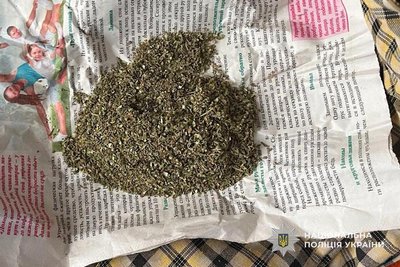 Жителя Дніпропетровщини судитимуть за вирощування понад 100 кущів конопель Жителя Дніпропетровщини судитимуть за вирощування понад 100 кущів конопель