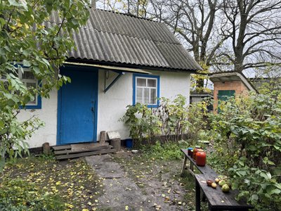 "У своїй хаті вже доживу". Як живуть останні мешканці покинутого села на Сумщині "У своїй хаті вже доживу". Як живуть останні мешканці покинутого села на Сумщині