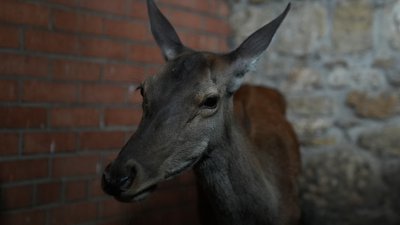 Як минув тиждень на Миколаївщині: фотодобірка Як минув тиждень на Миколаївщині: фотодобірка