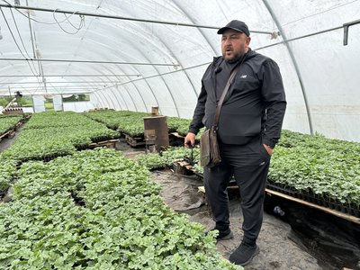 “Наші кавуни не гірші херсонських”: фермер з Донеччини вирощує врожай під обстрілами “Наші кавуни не гірші херсонських”: фермер з Донеччини вирощує врожай під обстрілами