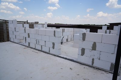 У притулку для тварин на Дніпропетровщині будують корпус для собак з інвалідністю