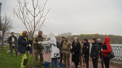 Дерево, захисник, Тернопіль