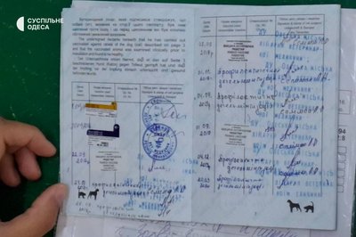 "Що там коїться?": скандал в одеському контактному зоопарку "Що там коїться?": скандал в одеському контактному зоопарку