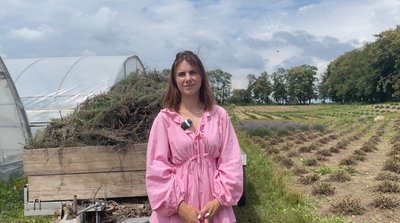 Яна Гарига, лавандове поле, негода, град Яна Гарига, лавандове поле, негода, град