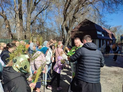 у Черкасах містяни освятили вербу у Черкасах містяни освятили вербу