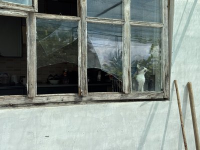 У Чутовому на Полтавщині армія РФ атакувала чотири автозаправні станції: що розповіли місцеві У Чутовому на Полтавщині армія РФ атакувала чотири автозаправні станції: що розповіли місцеві