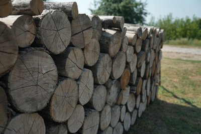 "Опалюємо дровами, газу немає". Жителі прикордоння Сумщини готуються до зими "Опалюємо дровами, газу немає". Жителі прикордоння Сумщини готуються до зими