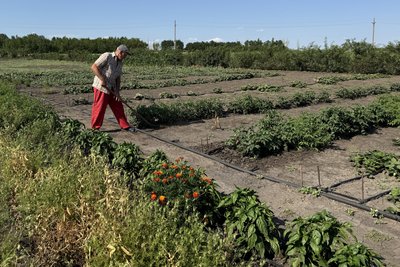 "Росіяни її зразу спалять, це ж – українське!" Подружжя з Покровська опікується 150-річною хатою-мазанкою поблизу фронту "Росіяни її зразу спалять, це ж – українське!" Подружжя з Покровська опікується 150-річною хатою-мазанкою поблизу фронту