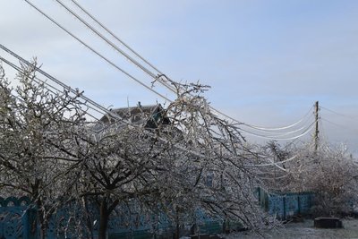 На Миколаївщині діють аварійні відключення світла через обледеніння проводів На Миколаївщині діють аварійні відключення світла через обледеніння проводів