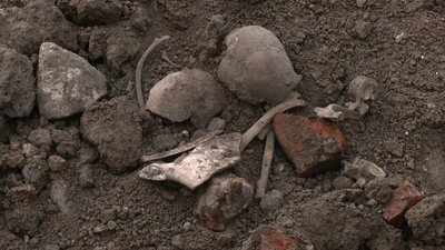 Людські рештки знайшли під час будівництва в історичній частині Острога на Рівненщині