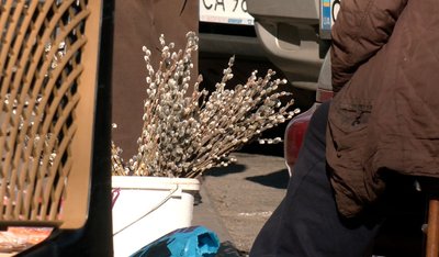 "Торгують усі Черкаси під магазинами": кого в Черкасах штрафують за продаж квітів "Торгують усі Черкаси під магазинами": кого в Черкасах штрафують за продаж квітів