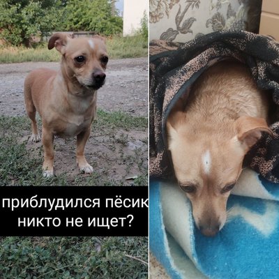 "У наш будинок за три секунди було три влучання". Історія порятунку родини з Бахмута "У наш будинок за три секунди було три влучання". Історія порятунку родини з Бахмута