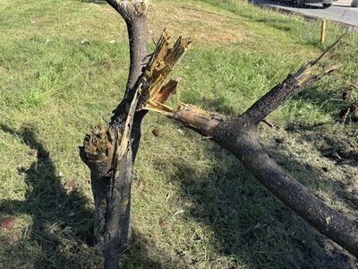 "Відчув вибух у 20 метрах за спиною". Обстріл Верхнього Піщаного на Сумщині "Відчув вибух у 20 метрах за спиною". Обстріл Верхнього Піщаного на Сумщині