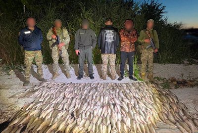 На озері Сасик затримали чоловіка, який незаконно виловив 577 судаків На озері Сасик затримали чоловіка, який незаконно виловив 577 судаків