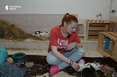 "Монетизована жорстокість": як в Одесі врятували кроликів і голубів із Дерибасівської