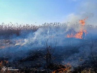 Згоріло два авто: на Вінниччині за добу сталося 15 пожеж Згоріло два авто: на Вінниччині за добу сталося 15 пожеж