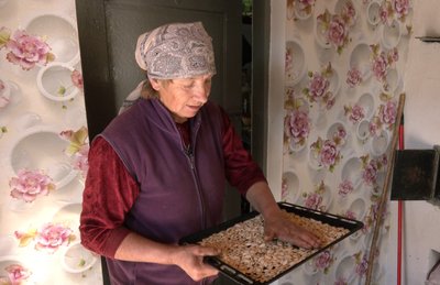 «Буде якісний продукт, то й копійка буде»: як на Волині заробляють на гарбузах «Буде якісний продукт, то й копійка буде»: як на Волині заробляють на гарбузах