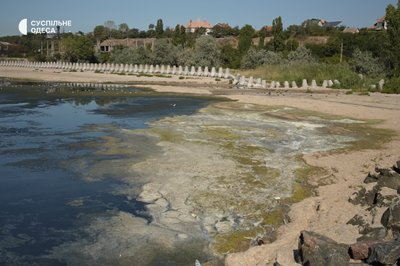 Стан води погіршився: пляж на Одещині заполонили водорості і сморід