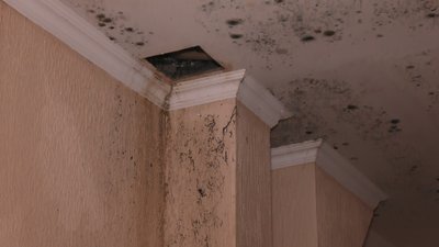 Чекають на висновок експертизи й ремонт даху: що відомо про відновлення будинку після пожежі в Кропивницькому