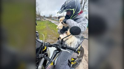 "Мого сина-інваліда, на інсуліні, він вбив". На якій стадії розслідування загибелі в аварії 16-річного юнака "Мого сина-інваліда, на інсуліні, він вбив". На якій стадії розслідування загибелі в аварії 16-річного юнака
