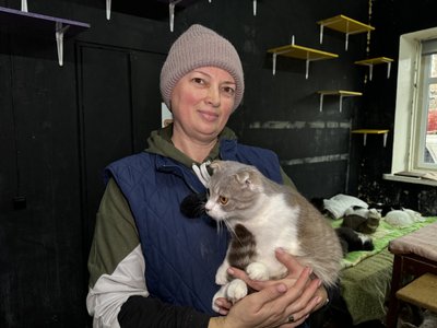 Котів з Сум зняли для благодійного “Пухнастого календаря”