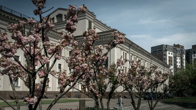 Розквітла алея сакур у Рівному. Фоторепортаж Розквітла алея сакур у Рівному. Фоторепортаж
