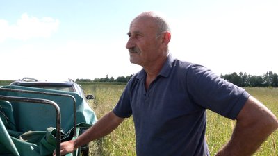 "Цілу ніч ходив температуру дивився": як фермер з Чернігівщини вирощує 18-кілограмові кавуни "Цілу ніч ходив температуру дивився": як фермер з Чернігівщини вирощує 18-кілограмові кавуни