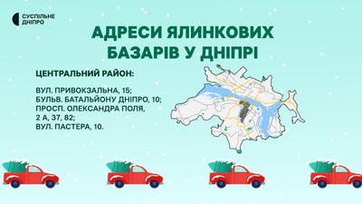 У Дніпрі визначили місця продажу ялинок