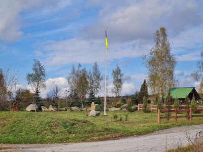 У громаді на Житомирщині в пам'ять про полеглих воїнів висадили туї У громаді на Житомирщині в пам'ять про полеглих воїнів висадили туї