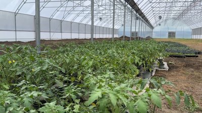 "Тут теж треба комусь створювати робочі місця": що планують побудувати в індустріальному парку у Носівці на Чернігівщині "Тут теж треба комусь створювати робочі місця": що планують побудувати в індустріальному парку у Носівці на Чернігівщині