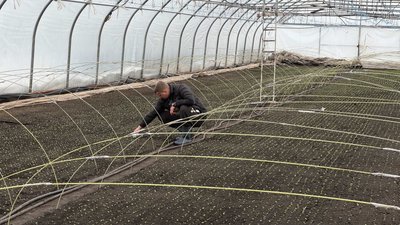 Гранти на сади та теплиці: як отримати аграріям Кіровоградщини Гранти на сади та теплиці: як отримати аграріям Кіровоградщини