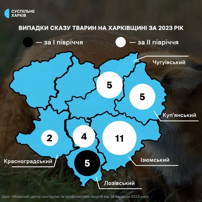 У Харківському районі виявили сказ у кішки