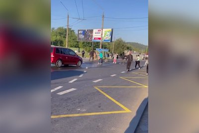 На кільці біля "Дріжджзаводу" люди переходять дорогу поза пішохідним переходом, щоб встигнути на тролейбус