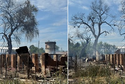 У двох громадах Житомирщини зафіксували збитки довкіллю після обстрілів