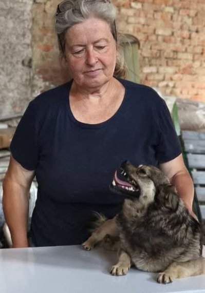 "Не віддаю абикому": в олександрійському притулку шукають родини для бездомних тварин "Не віддаю абикому": в олександрійському притулку шукають родини для бездомних тварин