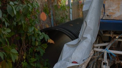 Загибель риби і птахів у Сумському дитячому парку "Казка": що відомо Загибель риби і птахів у Сумському дитячому парку "Казка": що відомо