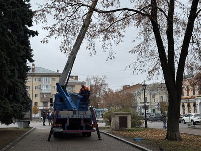 Світлові кулі й зірки на деревах: у Полтаві почали встановлення новорічної ілюмінації Світлові кулі й зірки на деревах: у Полтаві почали встановлення новорічної ілюмінації