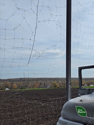 Два працівники лісового господарства на Сумщині потрапили під удари російських дронів