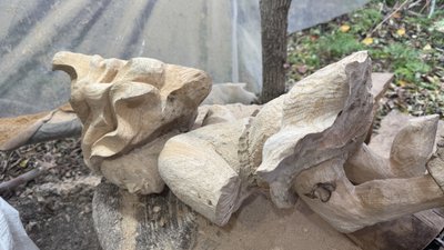 Заготівля українська відьма Донецька область Заготівля українська відьма Донецька область