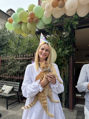 кав'ярня, кіт, бао, баобаб, історія, безпритульна кішка кав'ярня, кіт, бао, баобаб, історія, безпритульна кішка