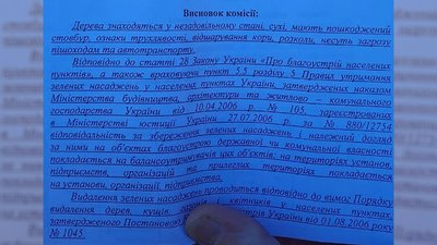 "Я у розпачі, бо місто лисіє дуже швидко". У центрі Кропивницького спиляли чотири дерева "Я у розпачі, бо місто лисіє дуже швидко". У центрі Кропивницького спиляли чотири дерева