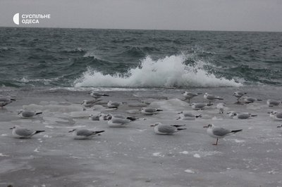Крижаний берег Чорного моря: який вигляд має Ланжерон після морозів