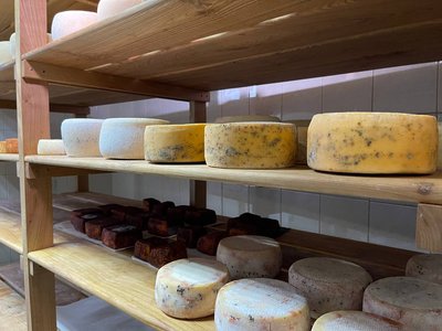 Сири, які виробляє сироварня Олени Сири, які виробляє сироварня Олени