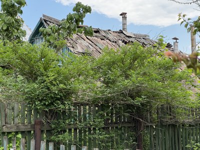 Сороченя Сороченя