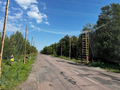 На Сумщині триває будівництво “антидронових тунелів” На Сумщині триває будівництво “антидронових тунелів”